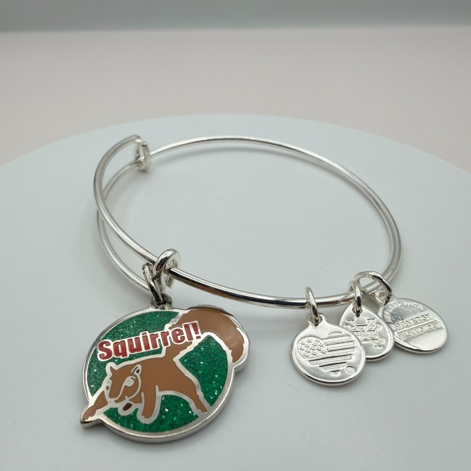 VTG 90s Alex and Ani Squirrel Silver Tone Charm Bangle Bracelet Women's Jewelry - Thumbnail 2