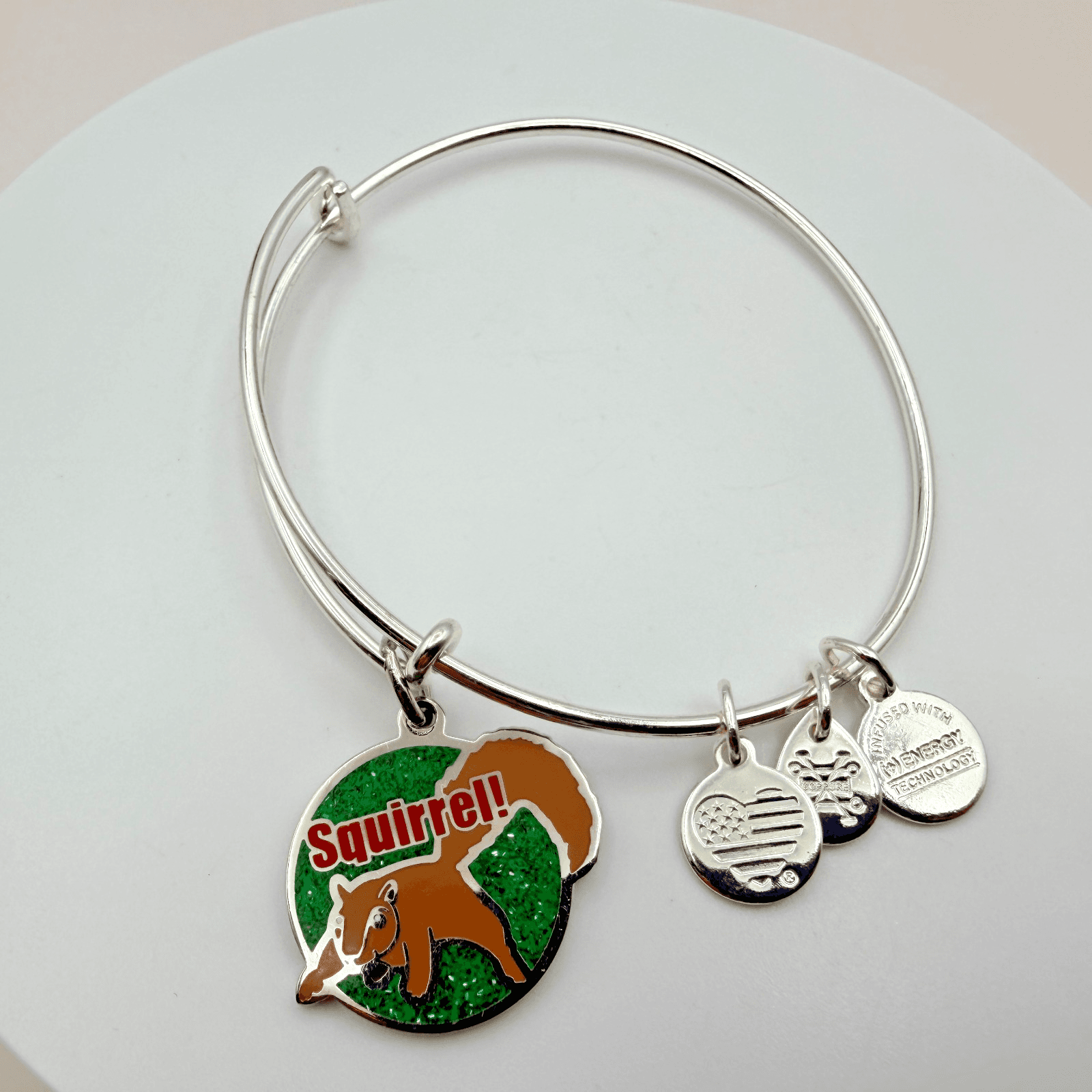 VTG 90s Alex and Ani Squirrel Silver Tone Charm Bangle Bracelet Women's Jewelry - Image 1