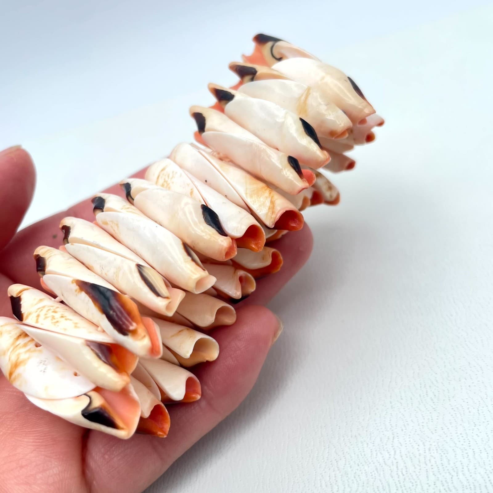 Vintage Natural Beach Mitre Shell Stretch Cuff Chunky Stretch Bangle Bracelet - Thumbnail 5