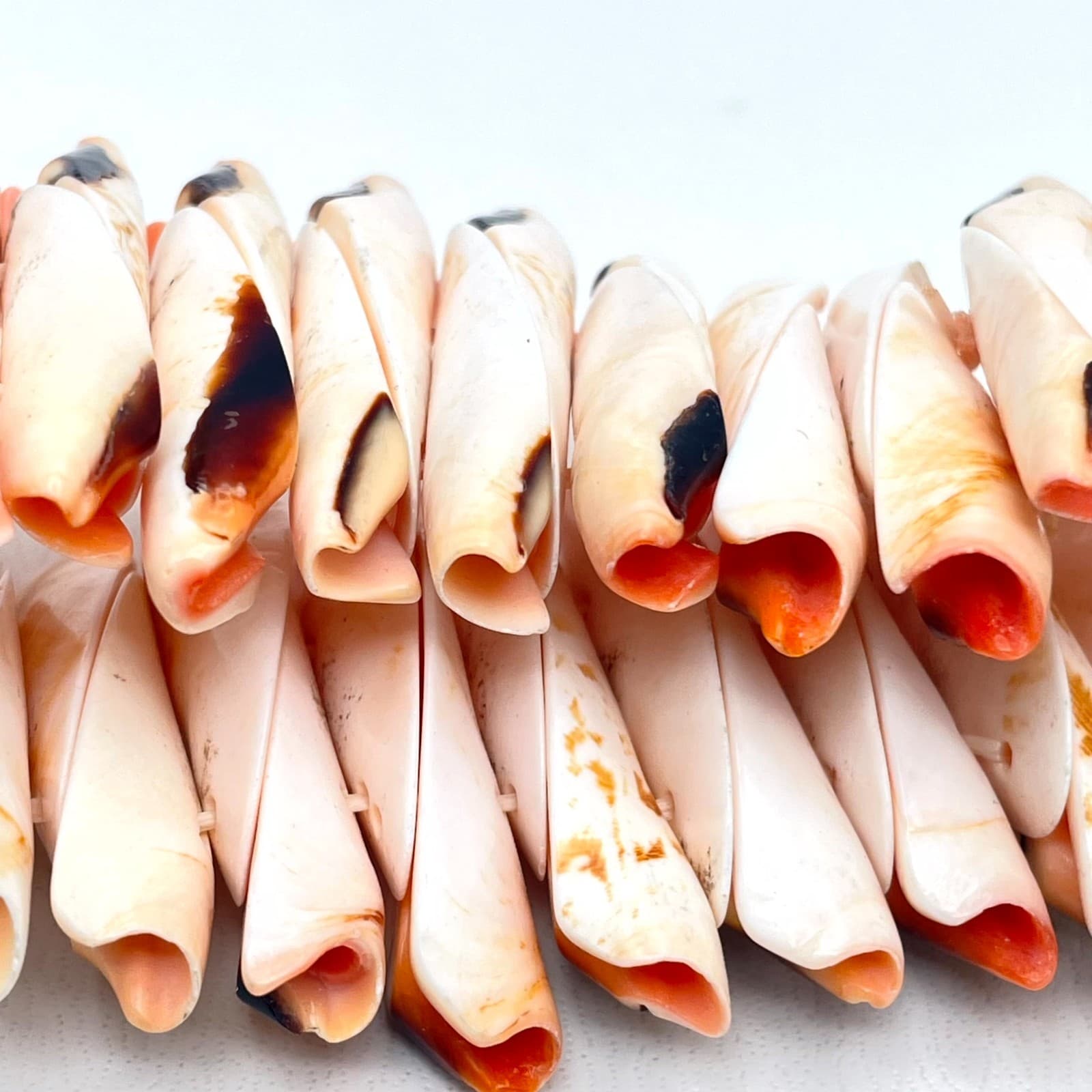 Vintage Natural Beach Mitre Shell Stretch Cuff Chunky Stretch Bangle Bracelet - Thumbnail 7