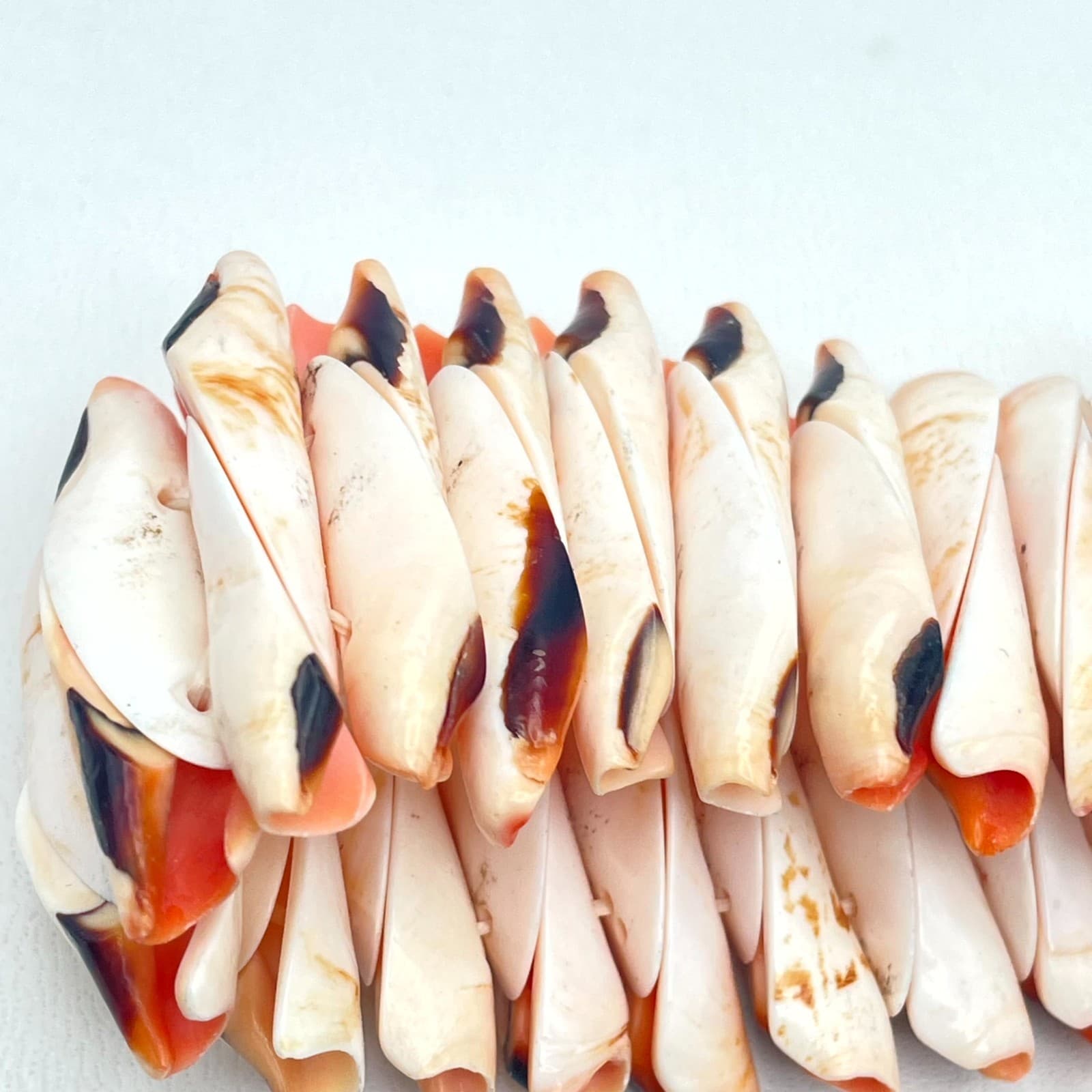 Vintage Natural Beach Mitre Shell Stretch Cuff Chunky Stretch Bangle Bracelet - Thumbnail 8