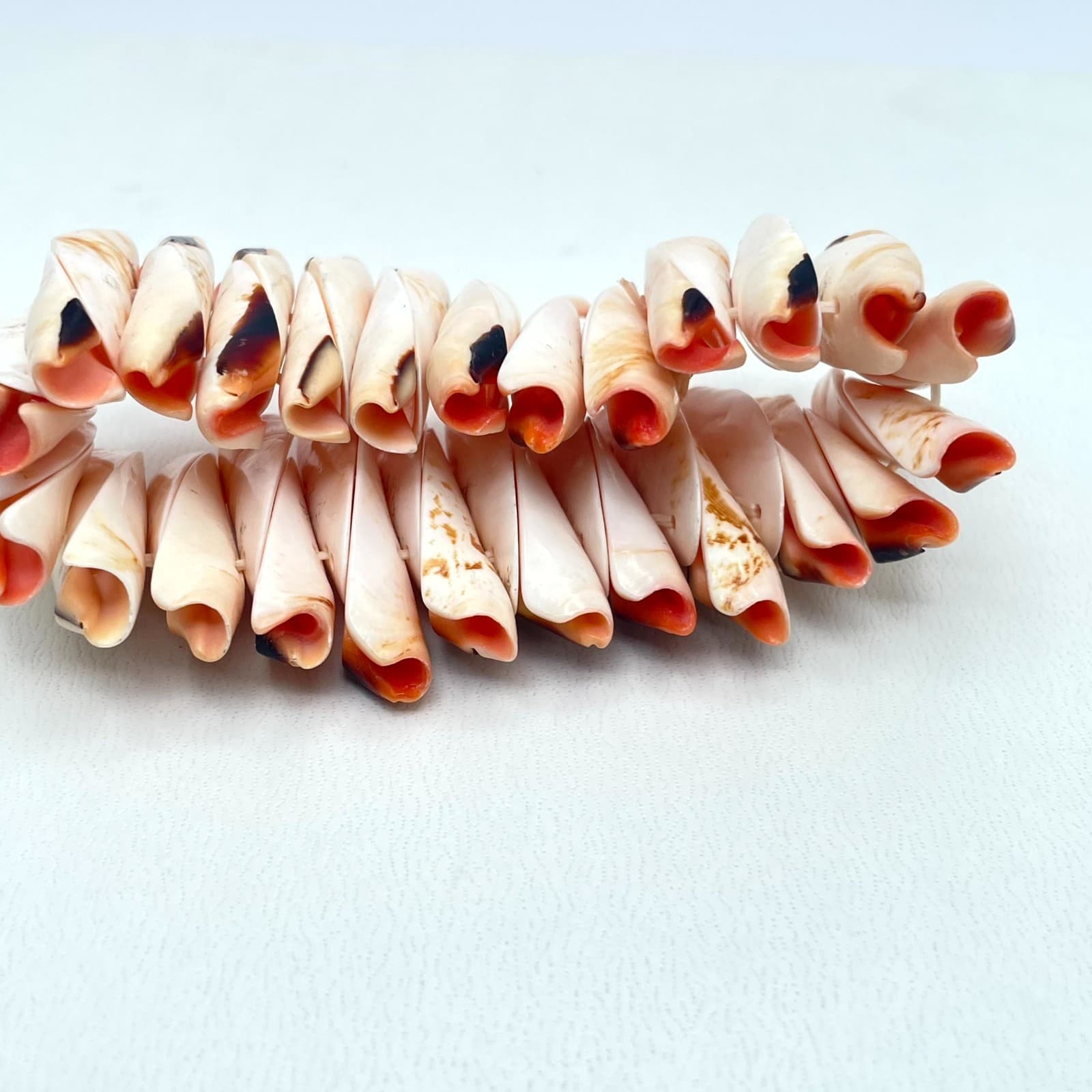 Vintage Natural Beach Mitre Shell Stretch Cuff Chunky Stretch Bangle Bracelet - Thumbnail 6