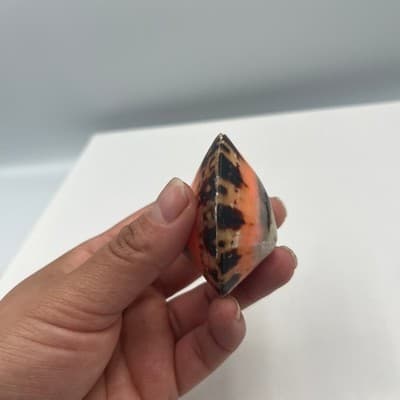 Vintage Trochus Sea Shell Paperweight Polished Natural Coral Pink Banded Cone - Thumbnail 4