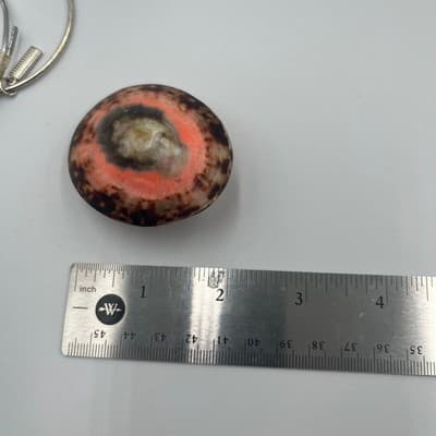 Vintage Trochus Sea Shell Paperweight Polished Natural Coral Pink Banded Cone - Thumbnail 6