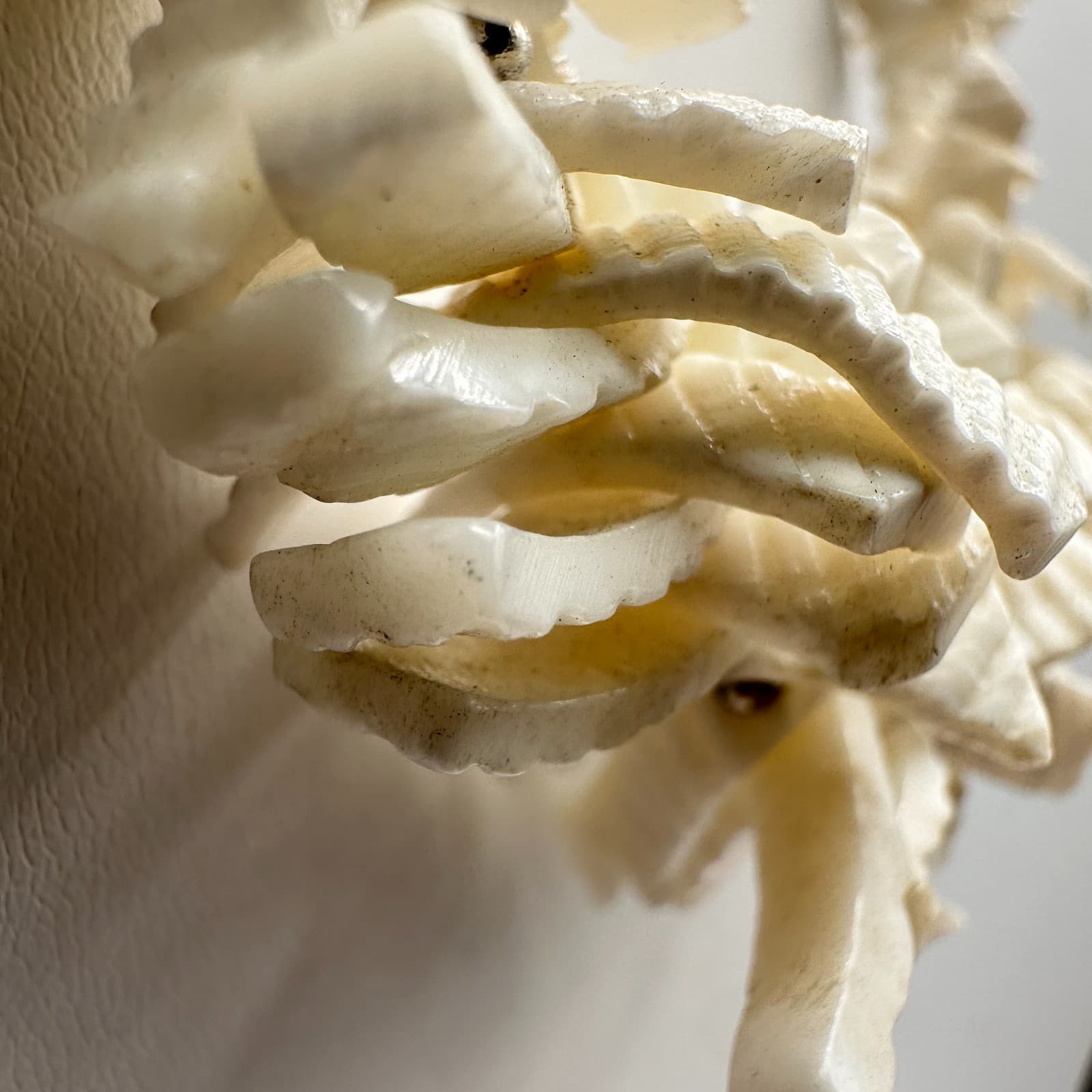 Vintage 90s Carved White Shell Statement Necklace with Gold-Tone Accents Jewelry - Thumbnail 4