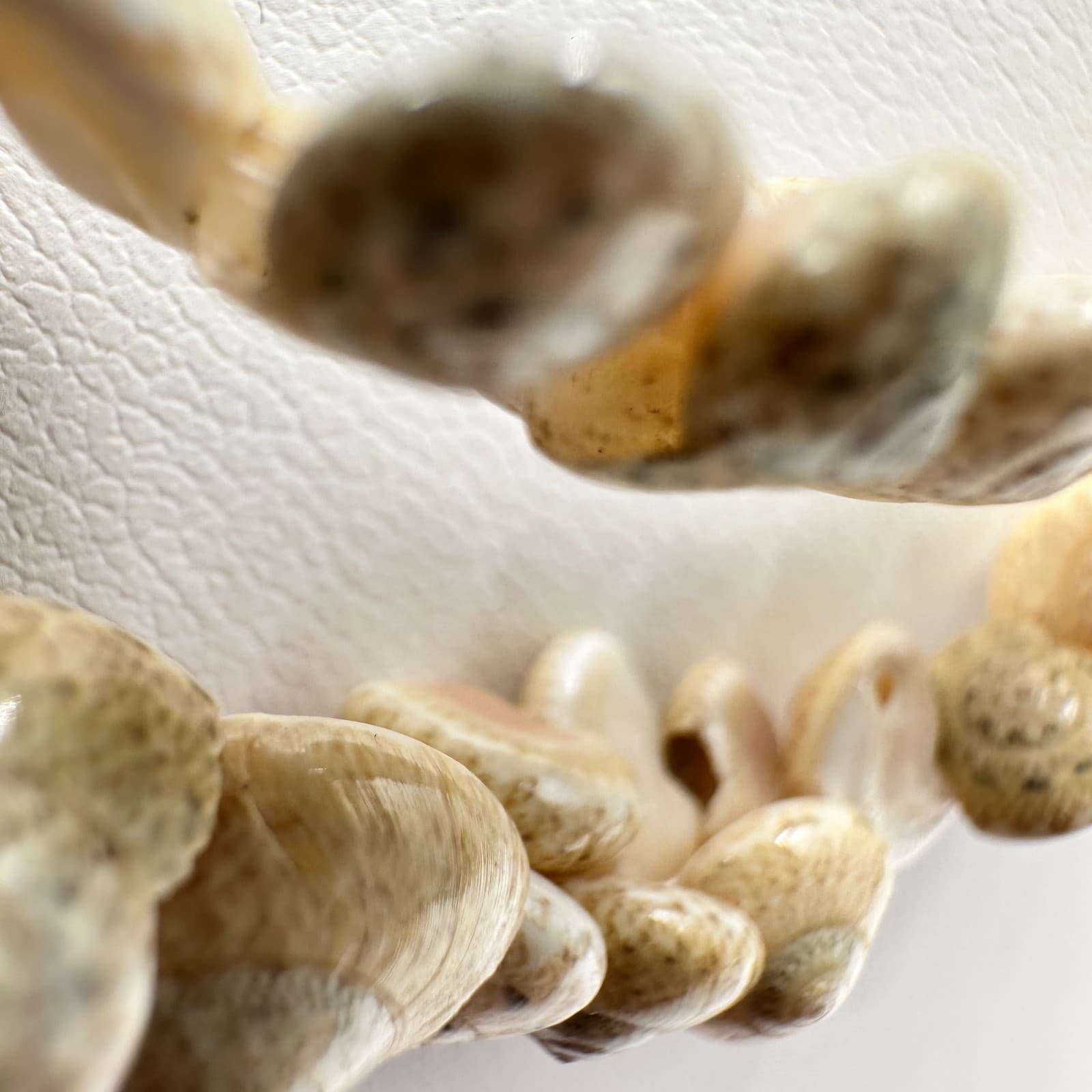 Vintage 90s Puka Shell Double Strand Necklace Beach Nautical Statement Jewelry - Thumbnail 5