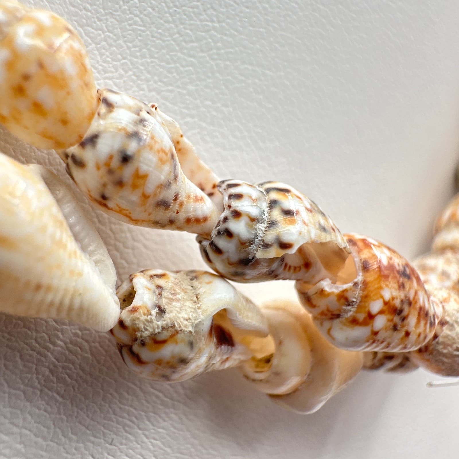 Vintage 90s Double Strand Sea Shell Necklace Cream Cowrie Puka Shells Boho - Thumbnail 5