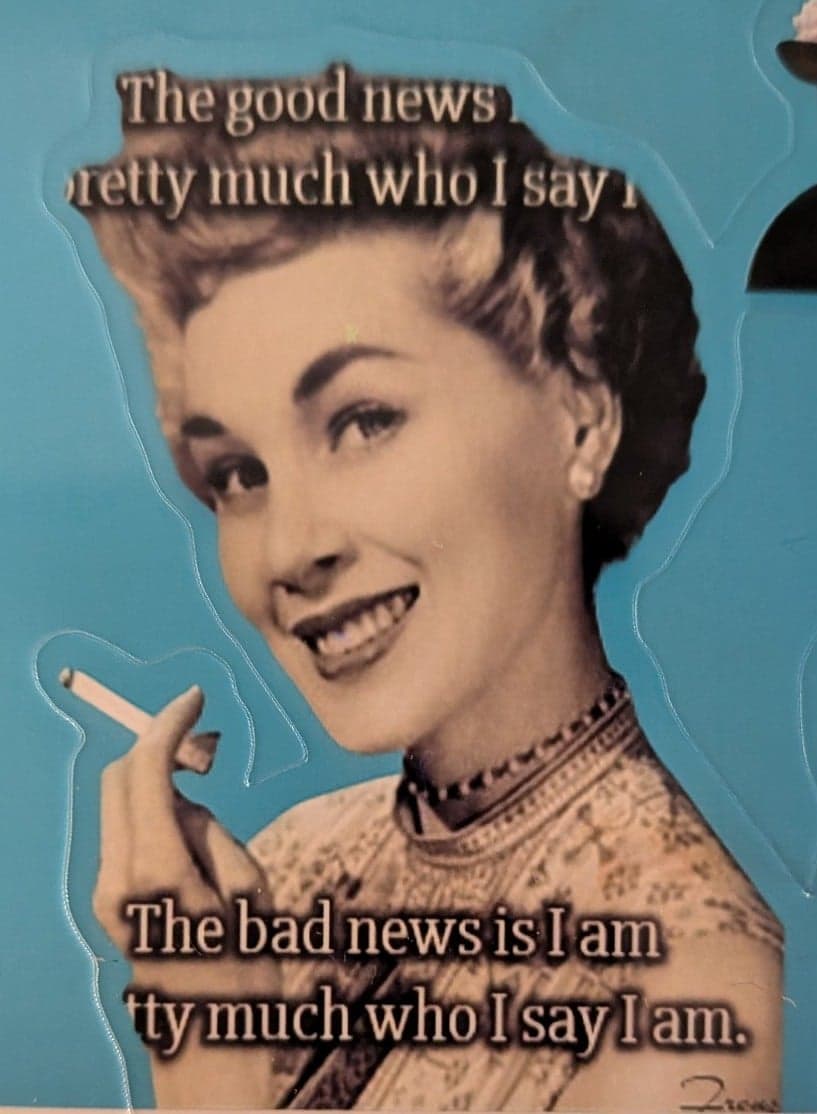 Retro Snark Sticker Set – Sassy Vintage Pin-Up Style Decals – 10+ Pieces - Thumbnail 4