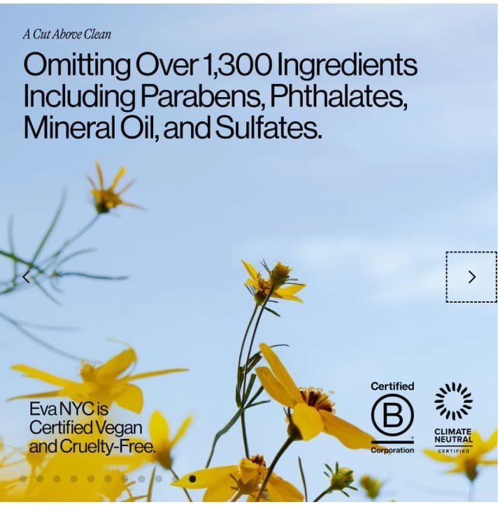 Eva NYC Stay Hydrated Leave-In Conditioner Brand new never used - Thumbnail 11