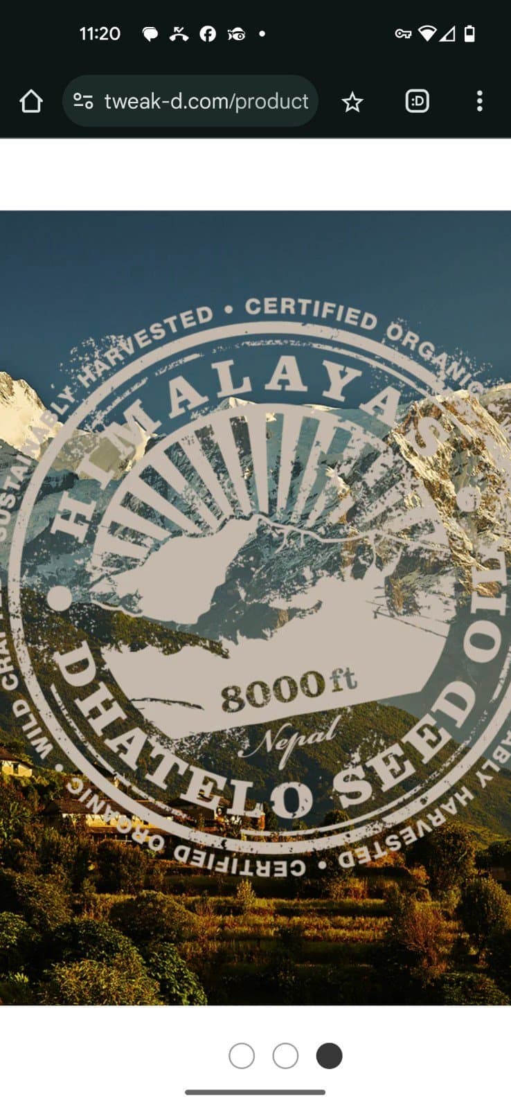 Restore Yogi-Berry Revitalizing Hair Treatment Mist RETAIL $90 - Thumbnail 3