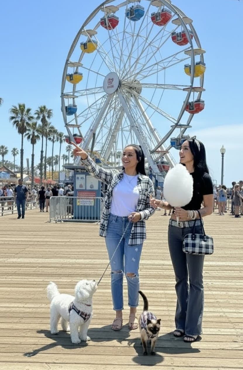 American Eagle Outfitters Pants Size 8 MED / Large Like New - Thumbnail 4