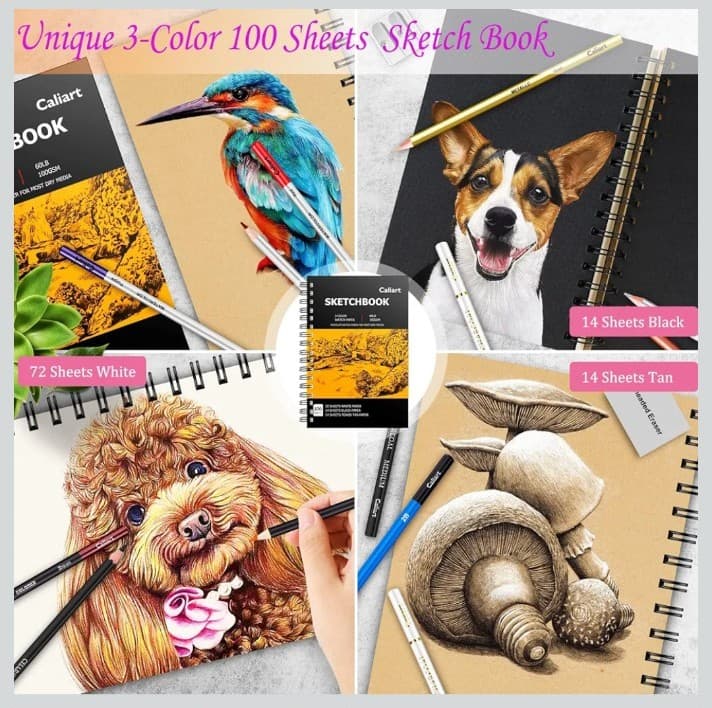 176PCS Art Supplies Sketching Kit with 100 Sheets 3-Color Sketch Book, Graphite - Thumbnail 2