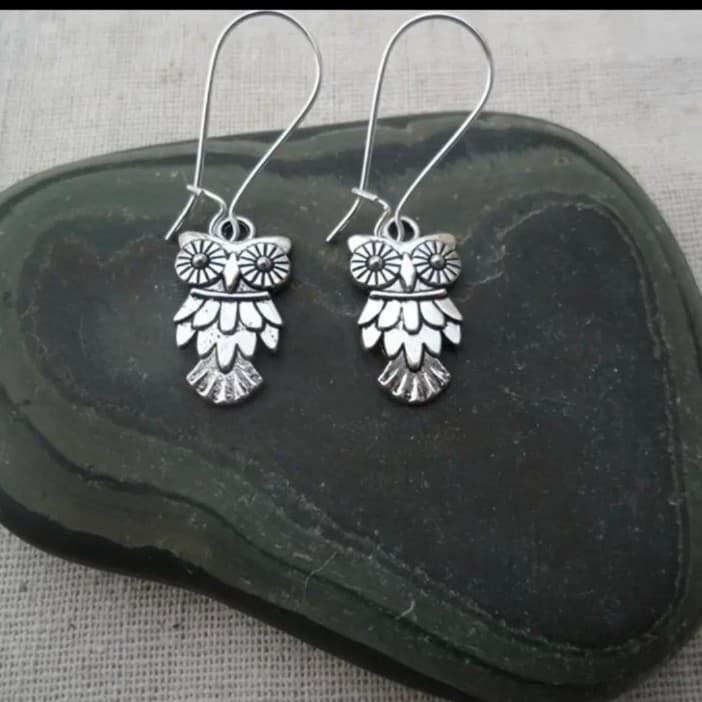 Hot topic Charming Silver owl earrings - Thumbnail 4