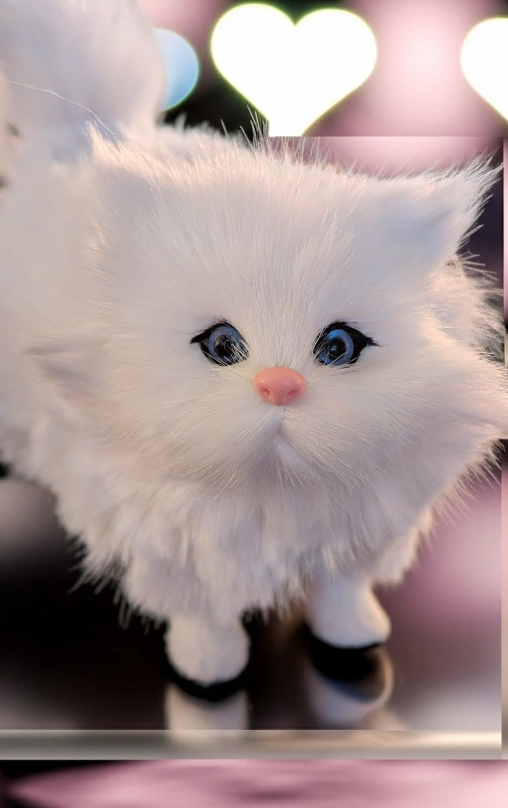 Cute, soft & realistic white furry cat with blue eyes - Thumbnail 4