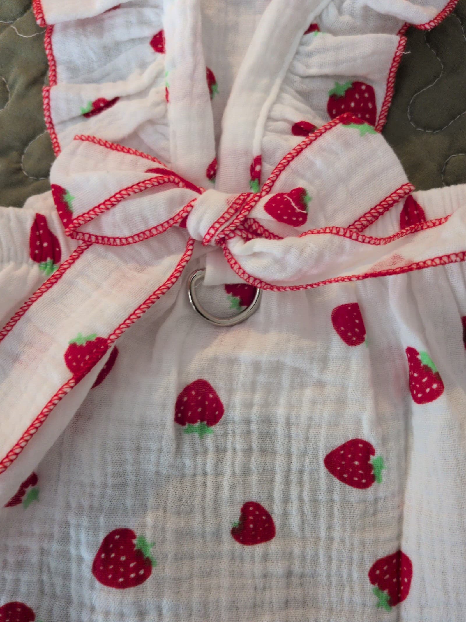 Cat or Dog Strawberry shortcake Dress Size Medium 8-13 pounds - Thumbnail 2