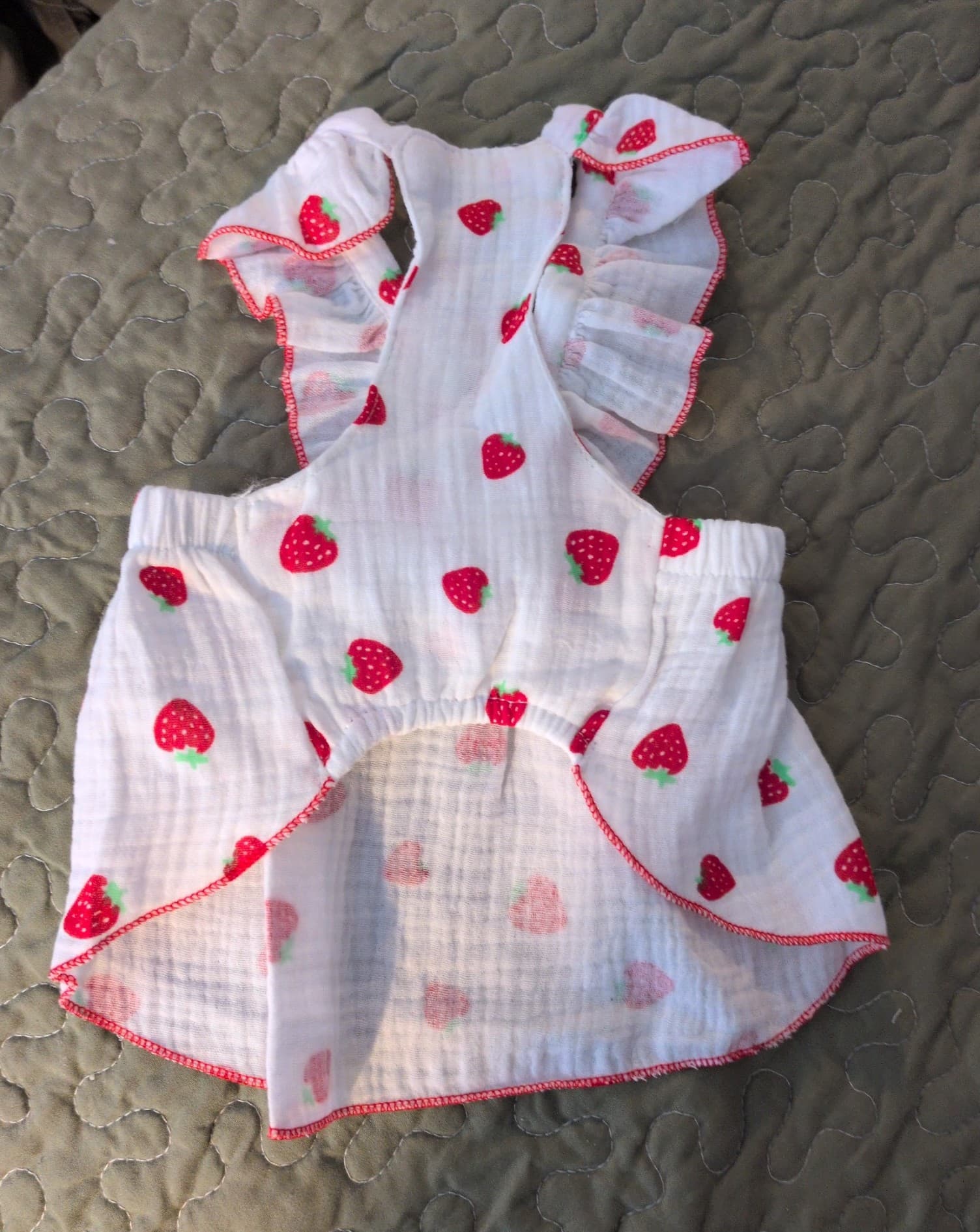 Cat or Dog Strawberry shortcake Dress Size Medium 8-13 pounds - Thumbnail 3