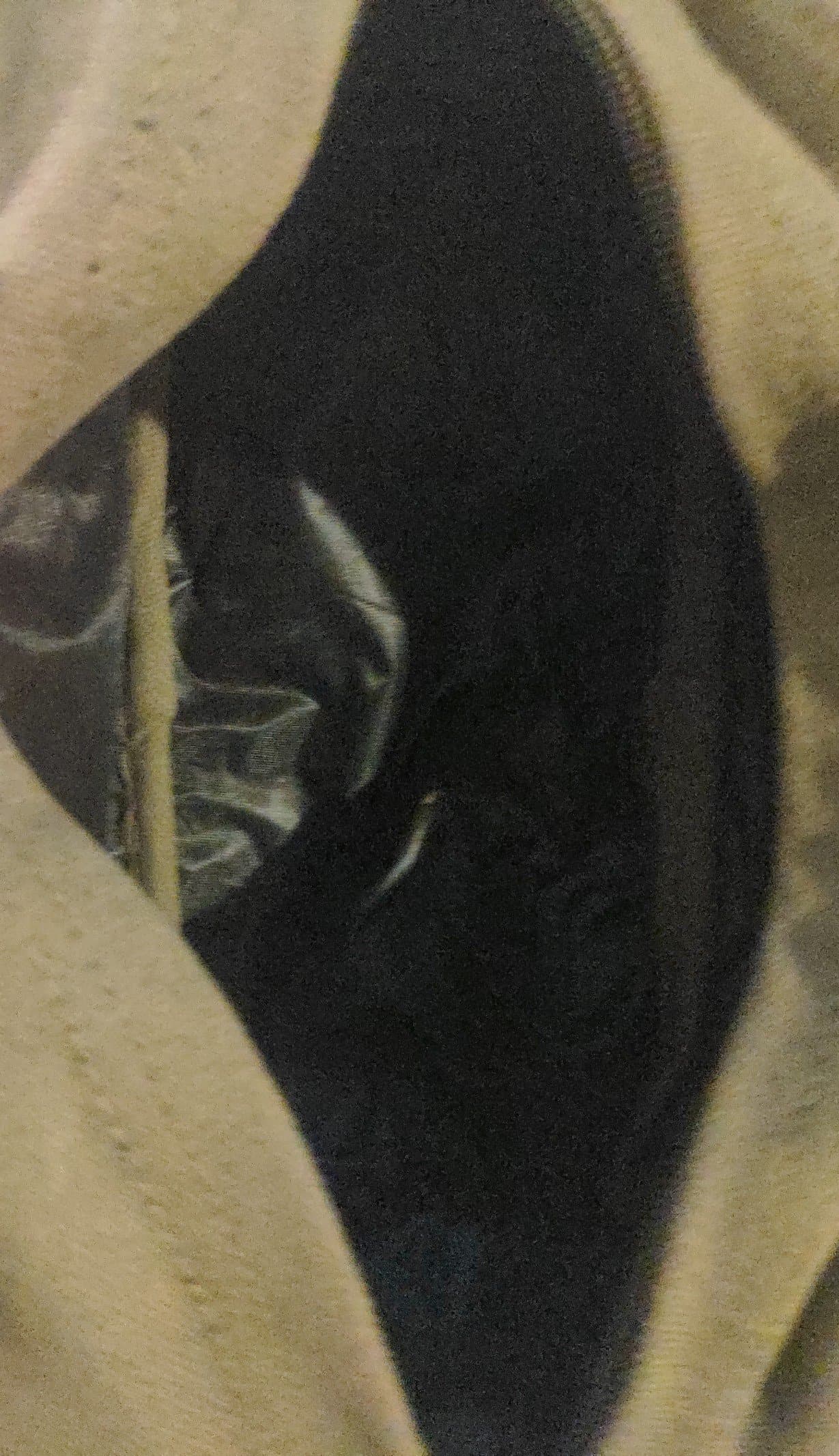 Army green canvas mens shaving bag - Thumbnail 5