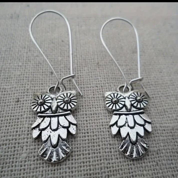 Silver Owl Dangle Earrings hold for cinny ! - Image 1