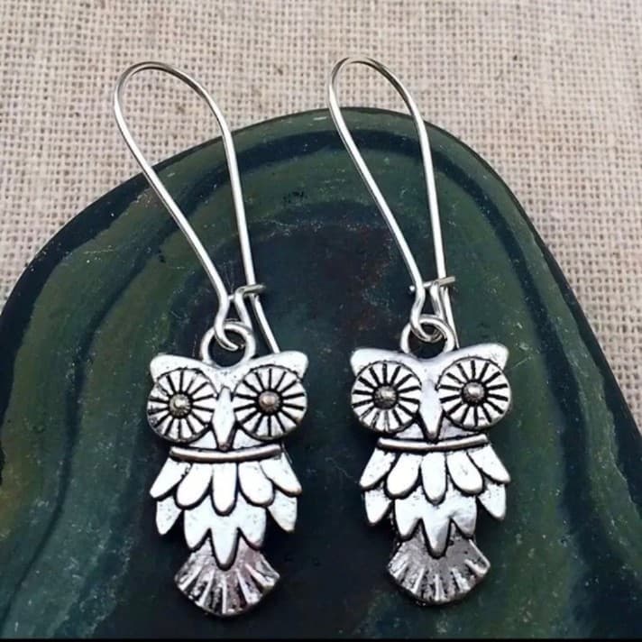 Silver Owl Dangle Earrings hold for cinny ! - Thumbnail 2