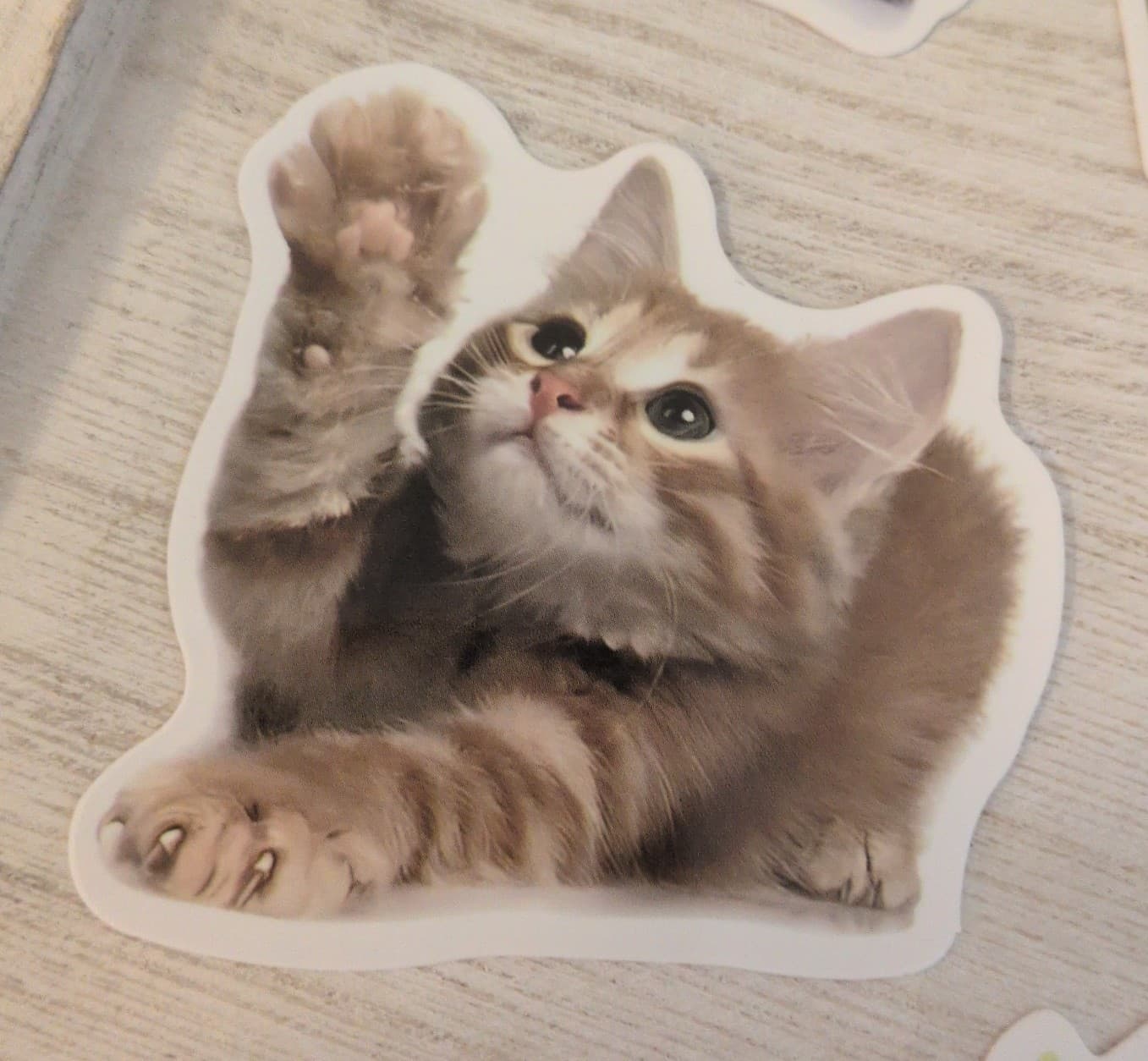 Cute Cat Sticker Set 19 Pack - Thumbnail 9