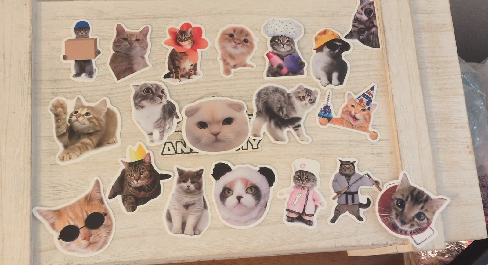 Cute Cat Sticker Set 19 Pack - Image 1