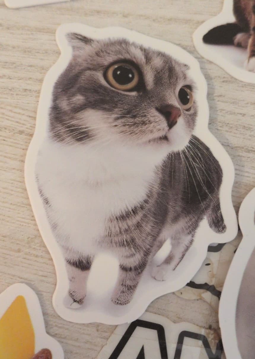 Cute Cat Sticker Set 19 Pack - Thumbnail 8