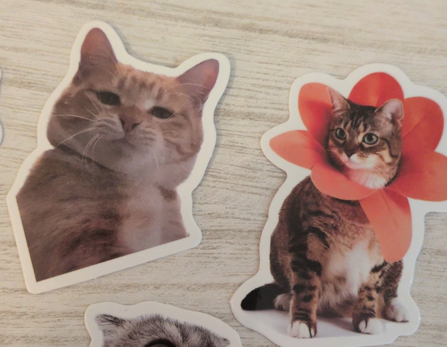 Cute Cat Sticker Set 19 Pack - Thumbnail 7