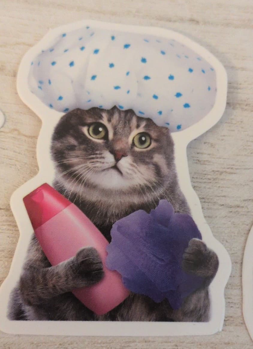 Cute Cat Sticker Set 19 Pack - Thumbnail 12