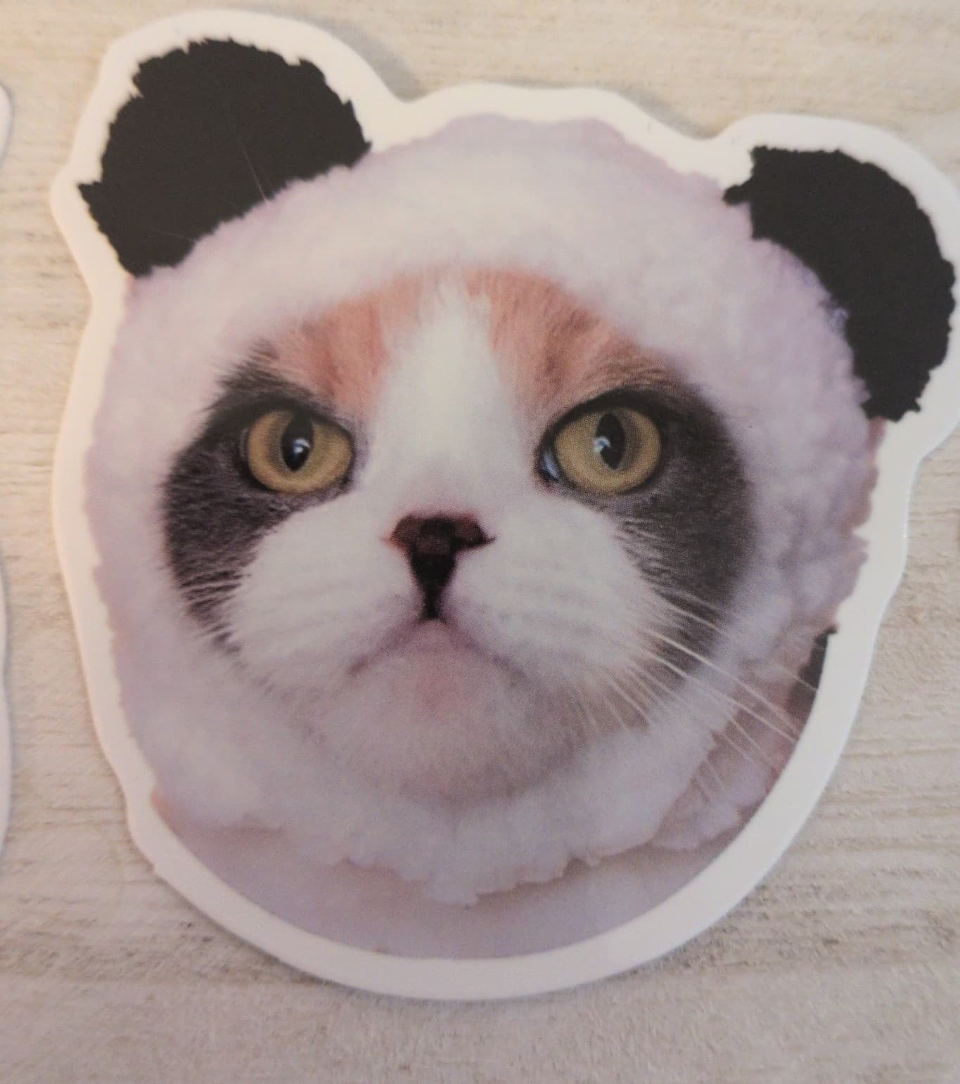 Cute Cat Sticker Set 19 Pack - Thumbnail 10