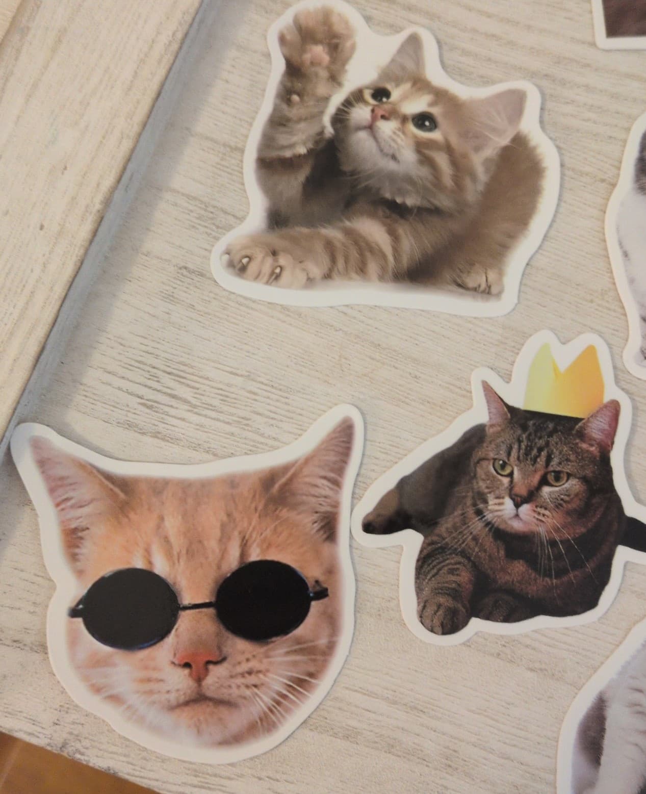 Cute Cat Sticker Set 19 Pack - Thumbnail 2