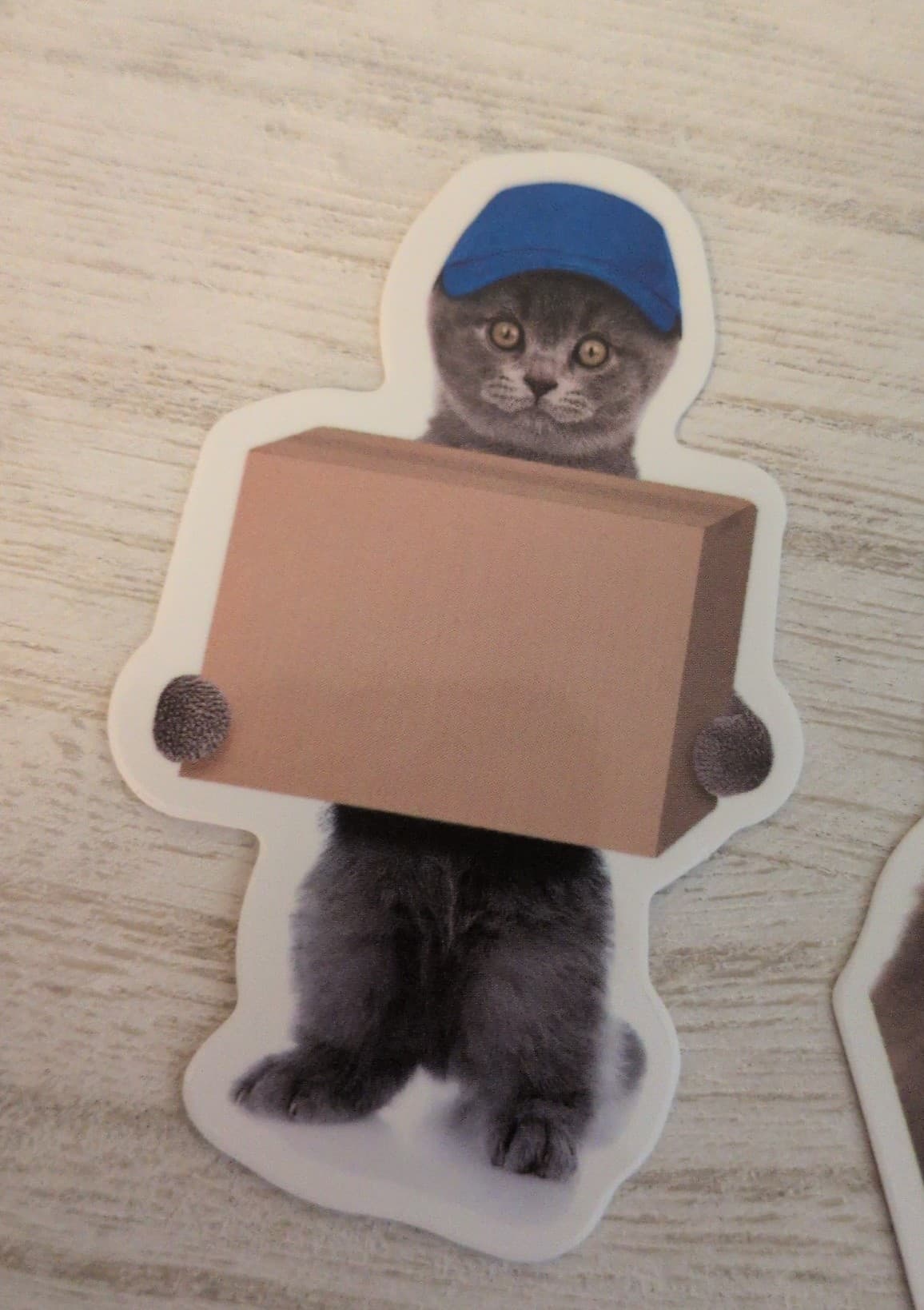 Cute Cat Sticker Set 19 Pack - Thumbnail 11