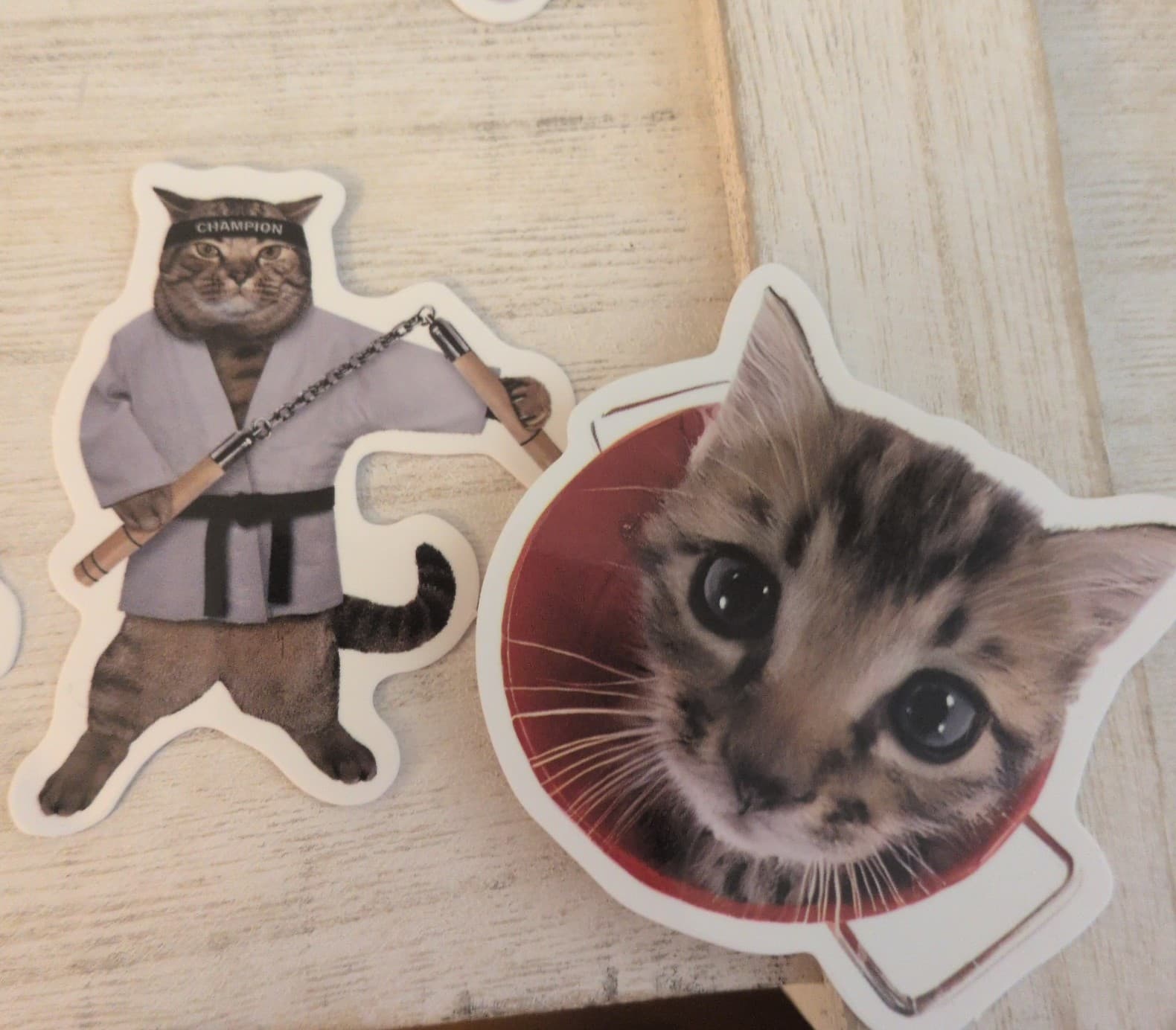 Cute Cat Sticker Set 19 Pack - Thumbnail 4