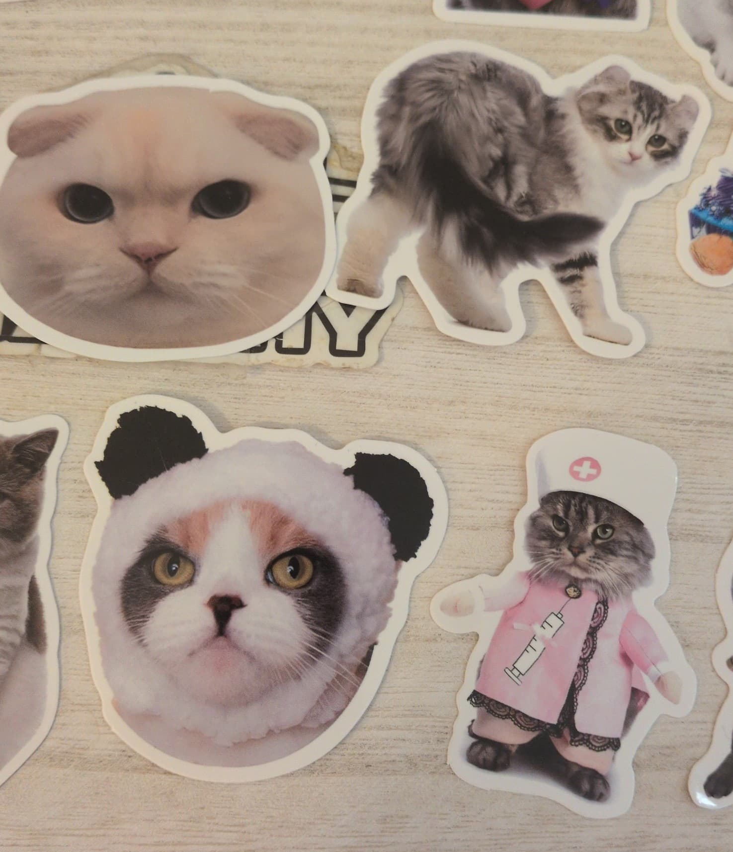 Cute Cat Sticker Set 19 Pack - Thumbnail 3