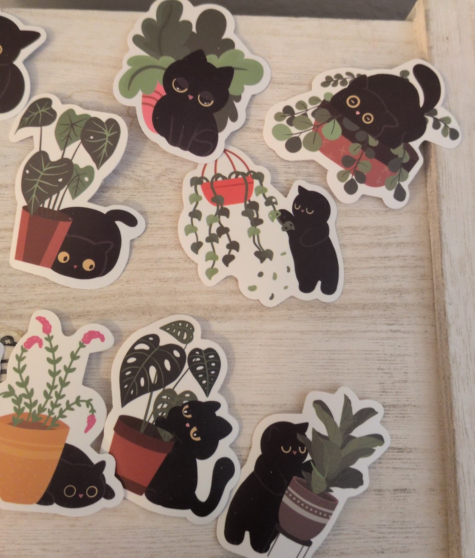 Black Cat Plant Stickers - Thumbnail 7