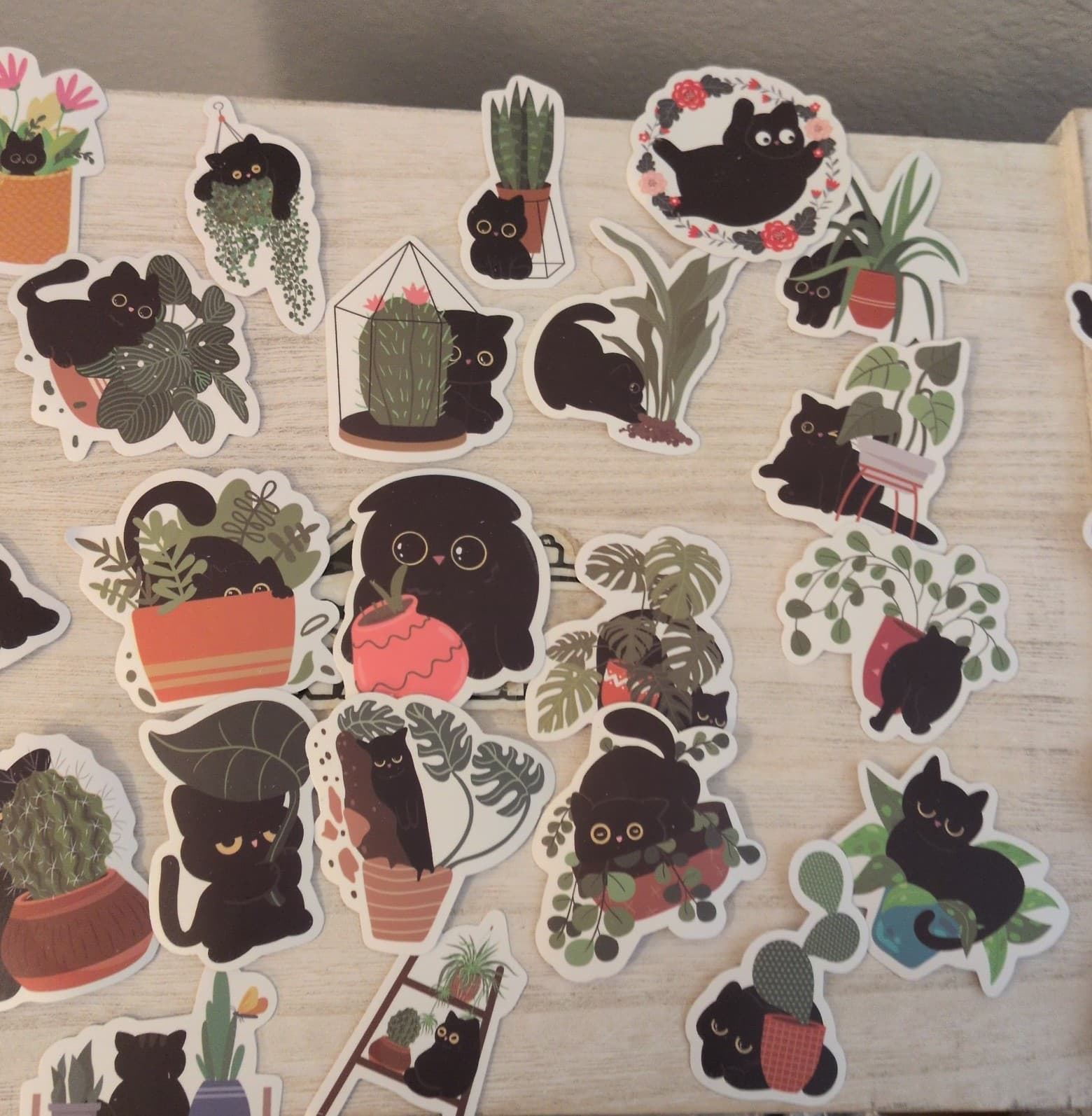 Black Cat Plant Stickers - Thumbnail 9