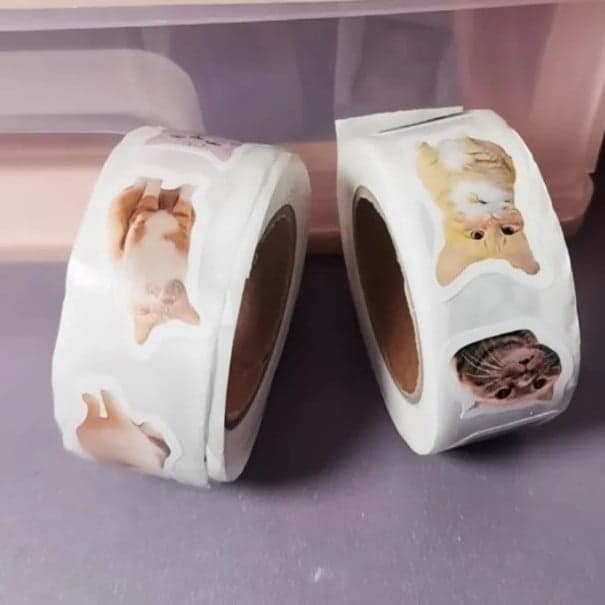 Cat Sticker Roll - Multicolor - Thumbnail 6