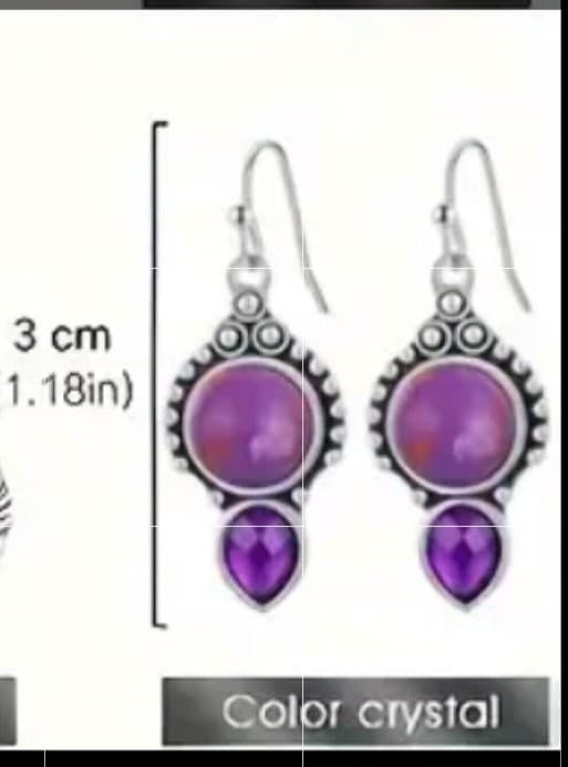 Elegant Purple and Silver Earrings - Thumbnail 2