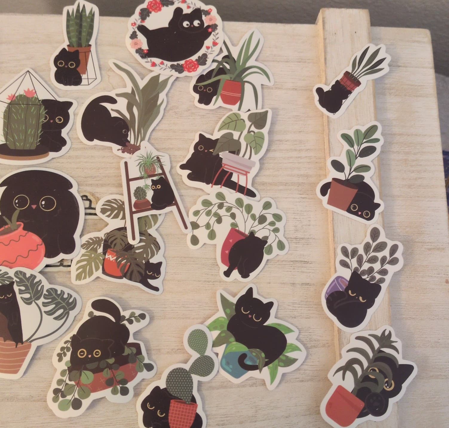 Black Cat Plant Stickers - Thumbnail 10