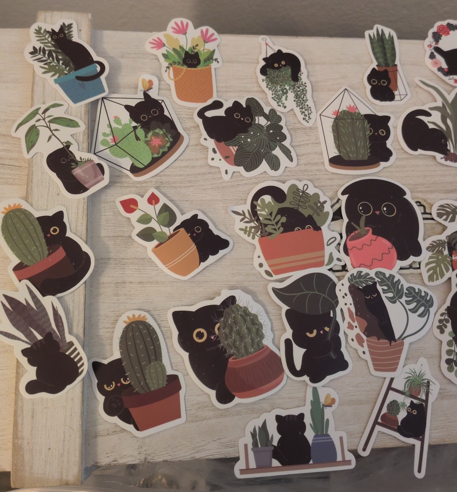 Black Cat Plant Stickers - Thumbnail 8