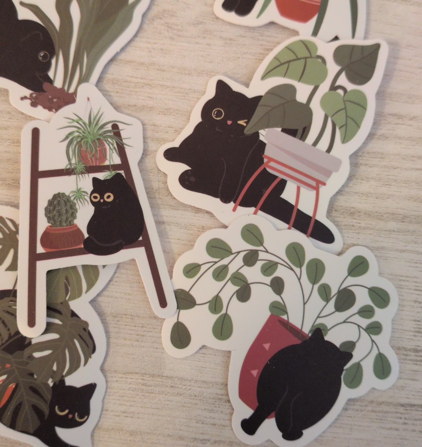 Black Cat Plant Stickers - Thumbnail 11
