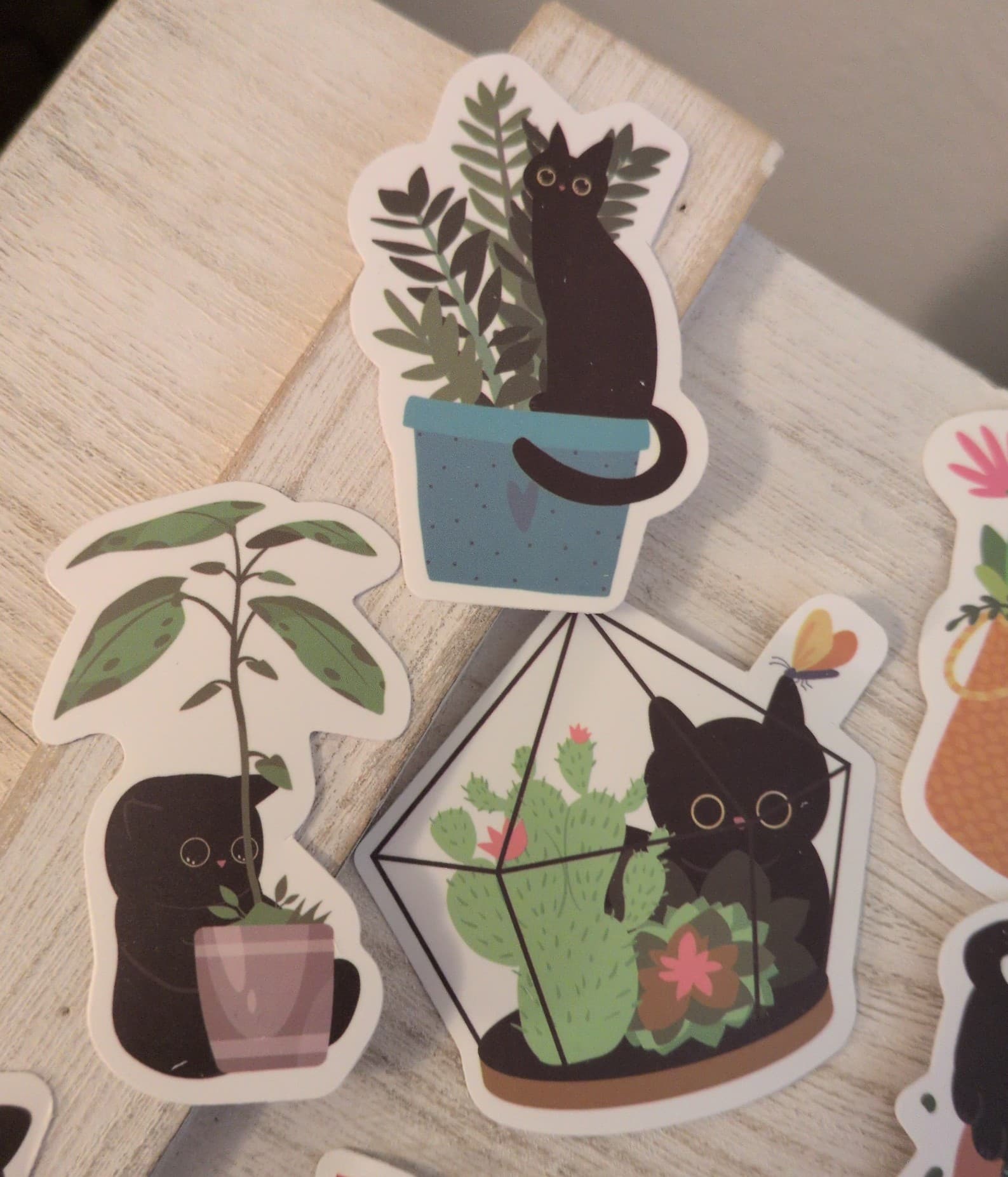 Black Cat Plant Stickers - Thumbnail 12
