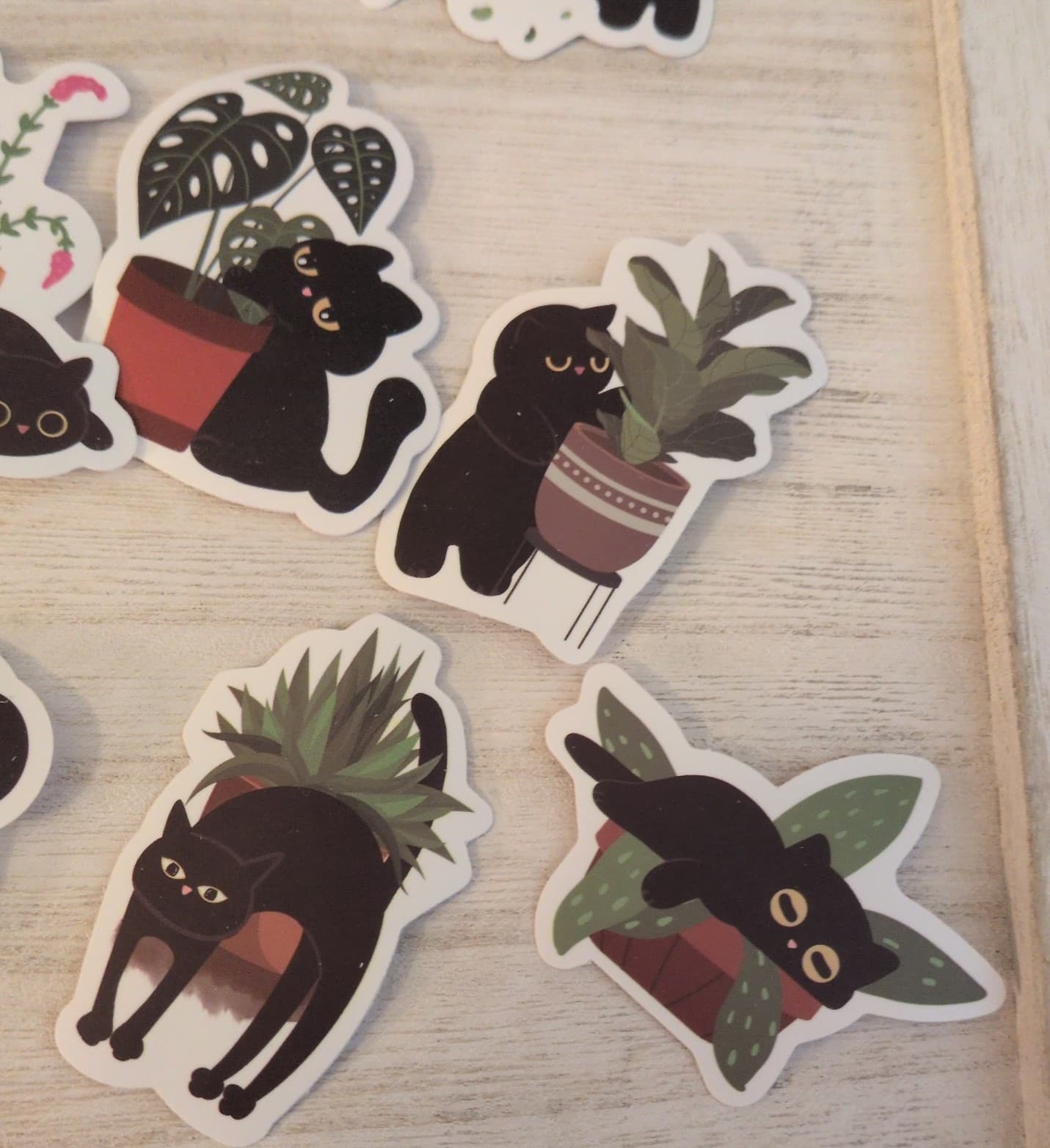 Black Cat Plant Stickers - Thumbnail 4