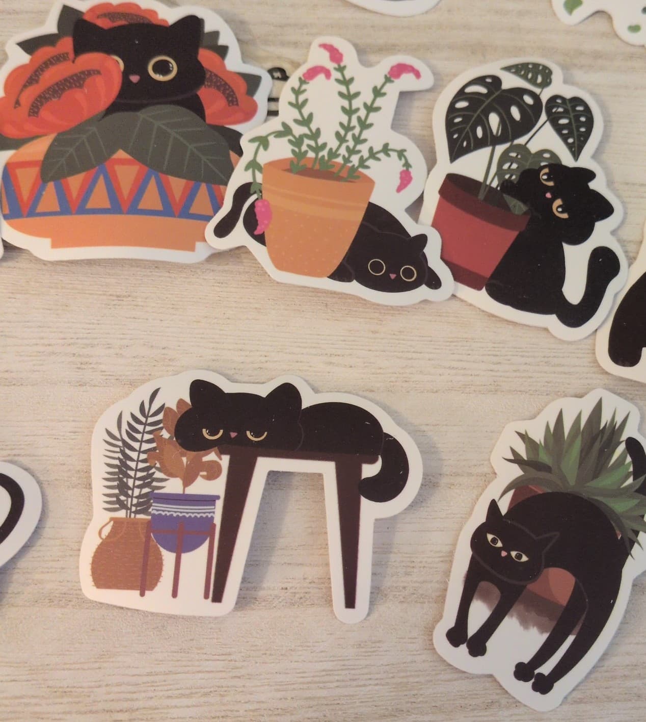Black Cat Plant Stickers - Thumbnail 3