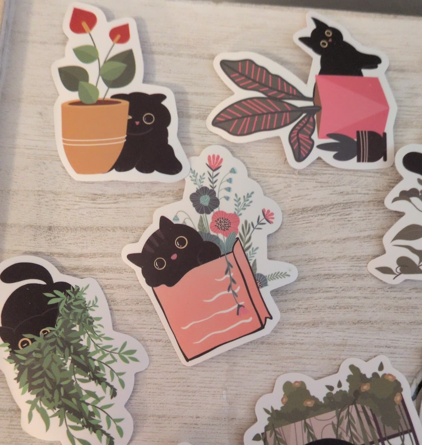 Black Cat Plant Stickers - Thumbnail 5