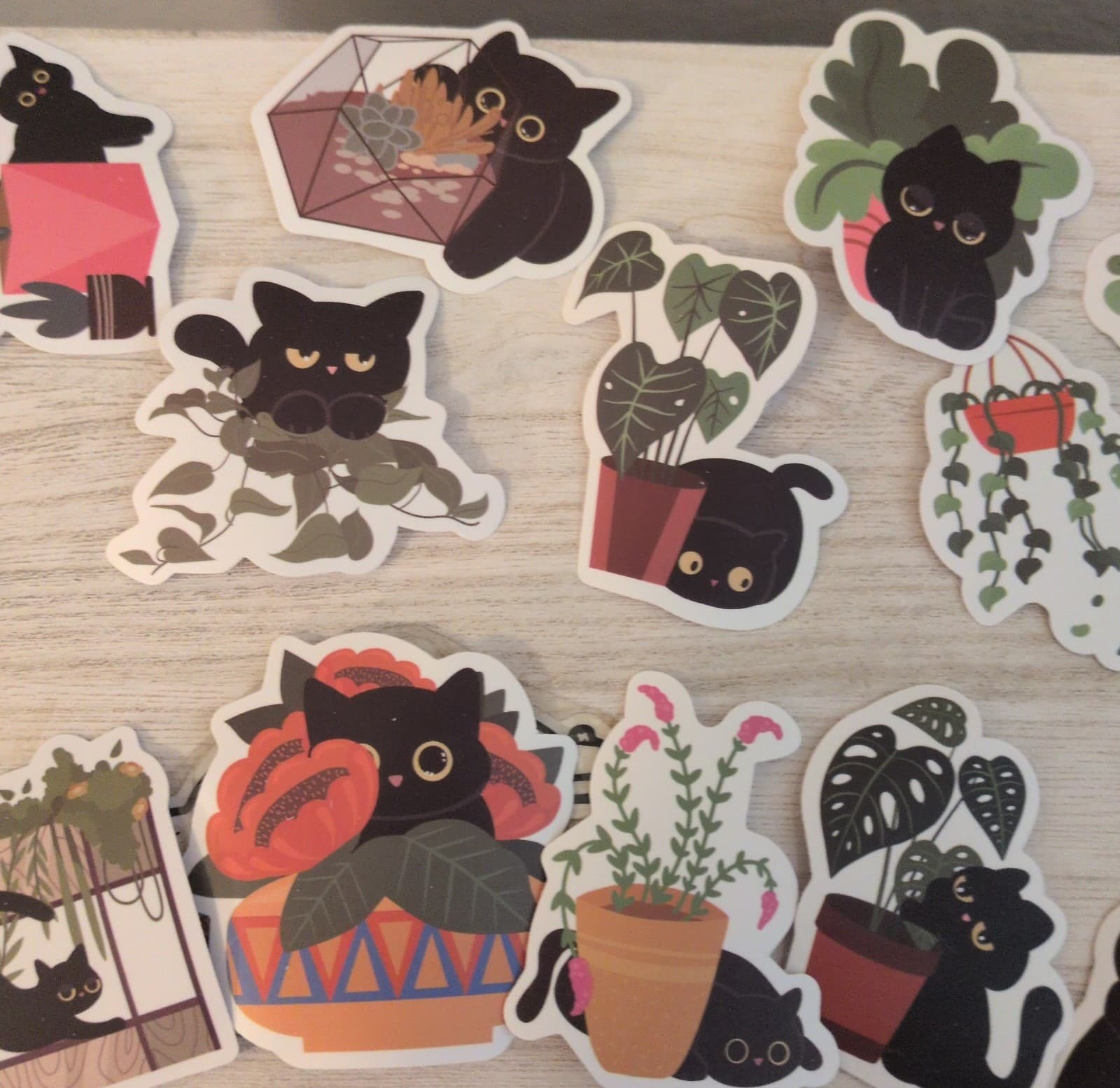 Black Cat Plant Stickers - Thumbnail 6