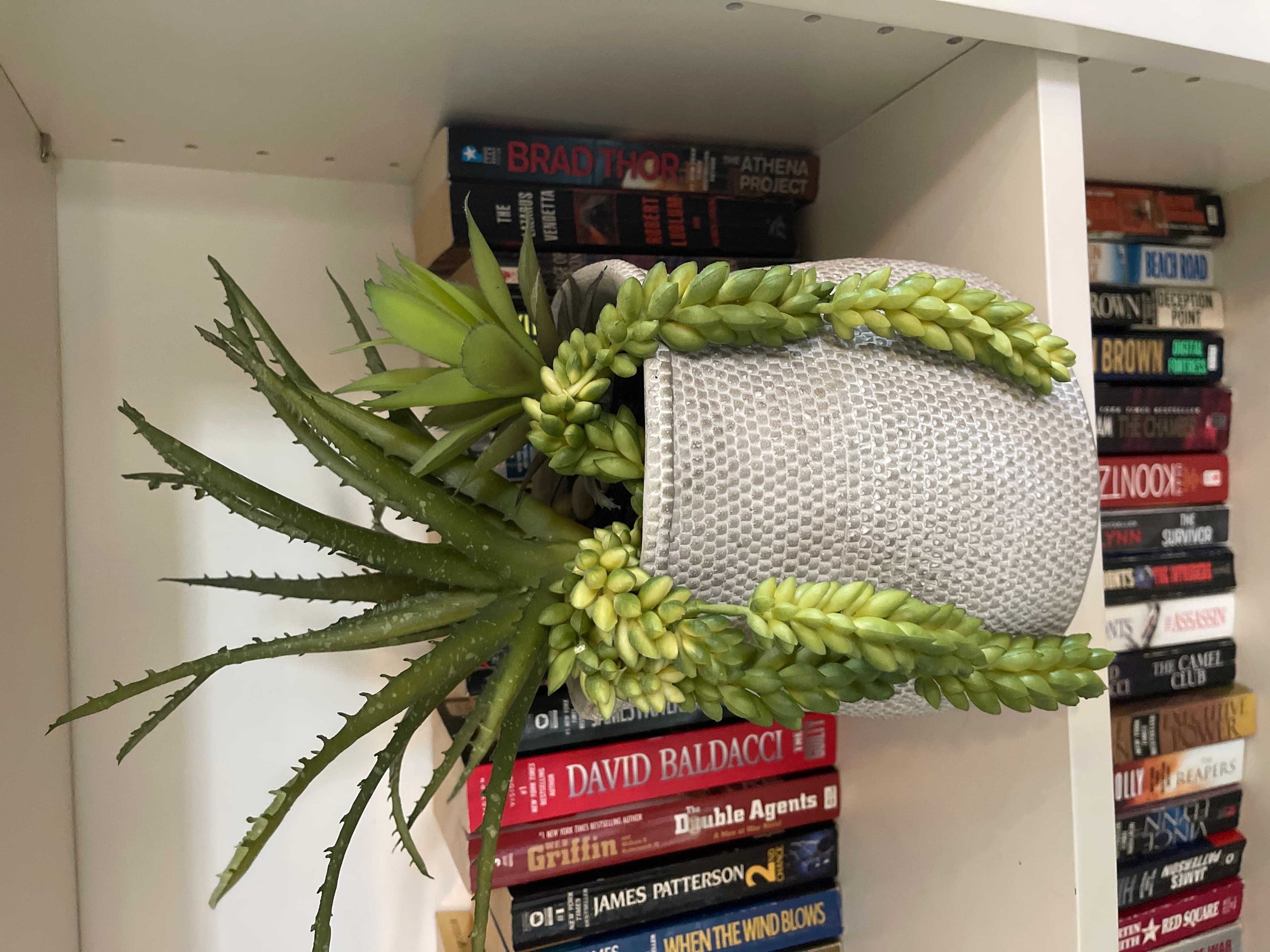 Plastic Succulent Planter with Aloe and Greenery - Image 1