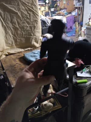 Kylo Ren 11 3/8” Action Figure Star Wars The Last Jedi (2016) Hasbro - Thumbnail 2