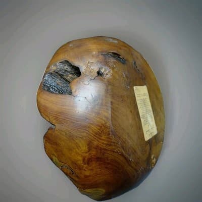 Vintage Teak Root Wood Bowl 12" Capiz Shell Inlay Iridescent Java Handcrafted - Thumbnail 7