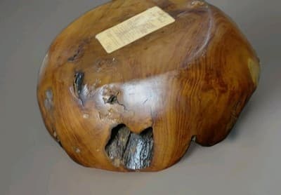 Vintage Teak Root Wood Bowl 12" Capiz Shell Inlay Iridescent Java Handcrafted - Thumbnail 5