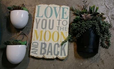 Lot 4 Wall Hangings. /2 Matching Planters/Plnts /Wood Sign /1 Decorative Plant. - Image 1